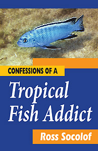 Confessions of a Tropical Fish Addict