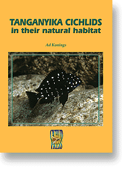 Tanganyika cichlids in their natural habitat 1998