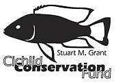 Donate to save Malawi cichlids!