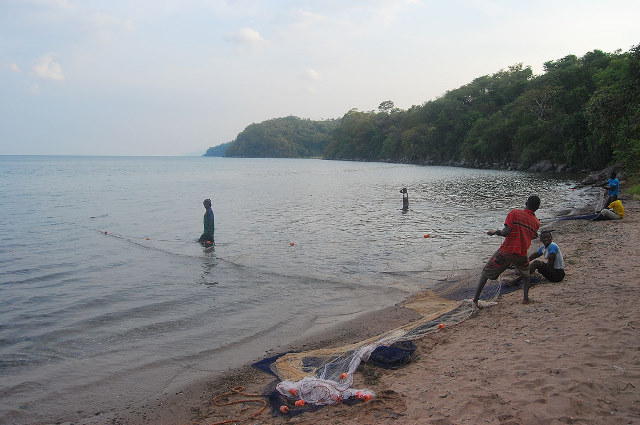 Illegal beach seine TZ